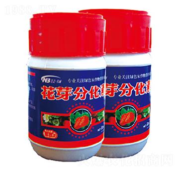 花芽分化素-康普生