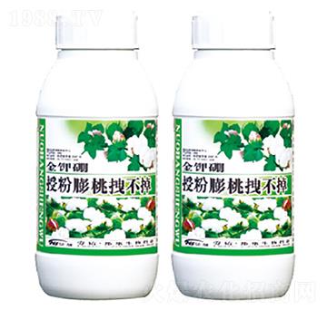 授粉膨桃拽不掉-康普生