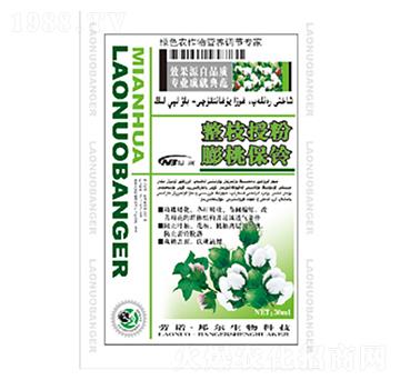 整枝授粉膨桃保鈴-康普生