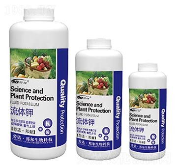 ���w�-������