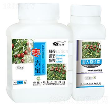 棗大寶+膨大拉長素-康普生