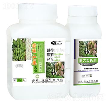 香蕉·芒果大寶+膨大拉長(zhǎng)素-康普生