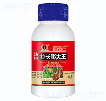 辣椒拉長膨大王-金田豐