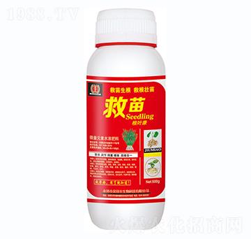 救苗根葉康-金田豐