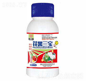 花果三寶-金田豐