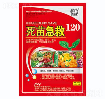 ���缱��120-�����S