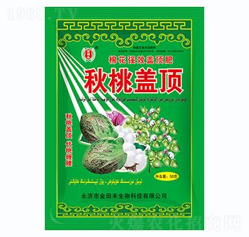 秋桃蓋頂-金田豐