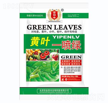 黃葉一噴綠-金田豐