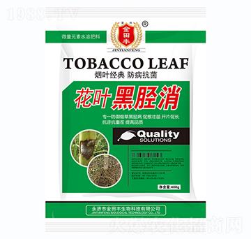 花葉黑脛消-金田豐