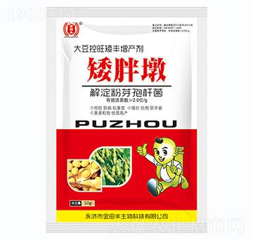 大豆控旺矮豐增產(chǎn)劑矮胖墩-金田豐
