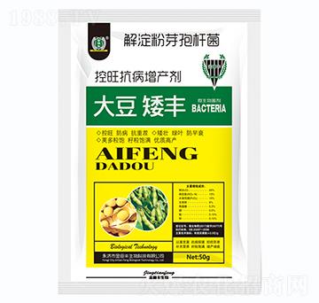 大豆矮豐-金田豐