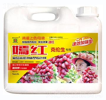 克倫生專用-嫣紅-金田豐