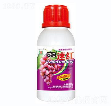 克倫速紅-金田豐