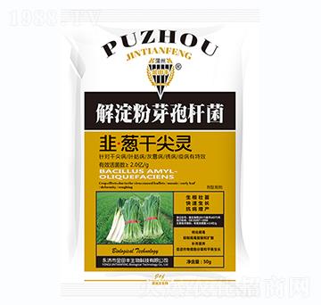 解淀粉芽孢桿菌-韭·蔥干尖靈-金田豐
