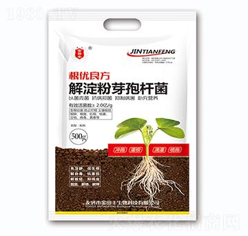 �����ѿ�ߗU��-����(y��u)����-�����S