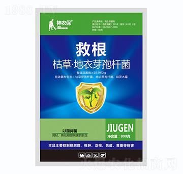 枯草芽孢桿菌-救根-戰(zhàn)車