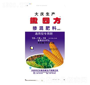 ͨ���͓������19-19-19-���ķ�-�|�S