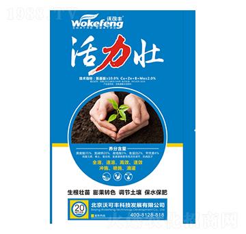 ������-�ֿ��S