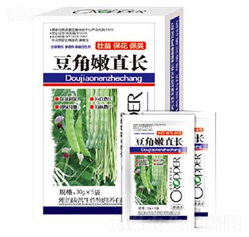 豆角嫩直長-康普生