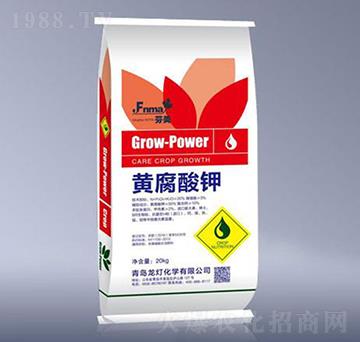 20kg�S�����-����-����