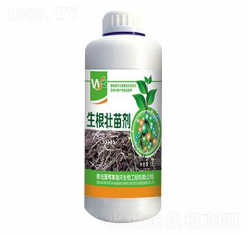 �������焩-�ֿ��S