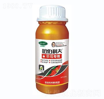 ��ݮ��(zhu��n)��-��������