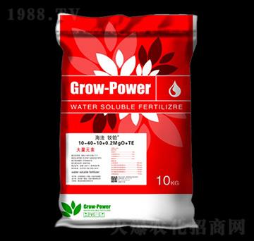 大量元素水溶肥10-40-10+0.2MgO+TE-伯倫特