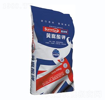 �S�����-������