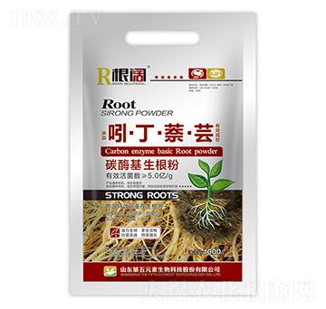 吲·丁·萘·蕓-根闊-第五元素