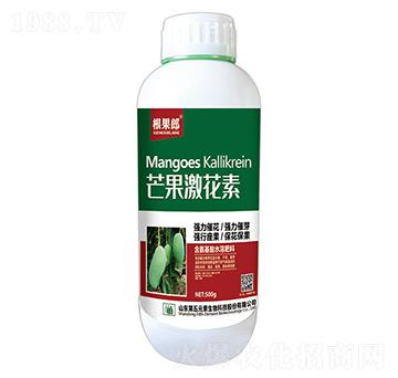 500g芒果激花素-根果郎-第五元素