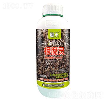 根腐靈-勒禾-第五元素