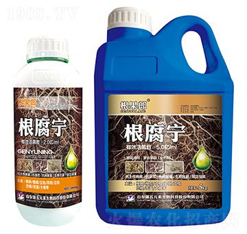 根腐寧-根果郎-第五元素