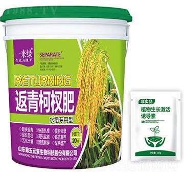 水稻專用型返青柯杈肥-一來綠-第五元素