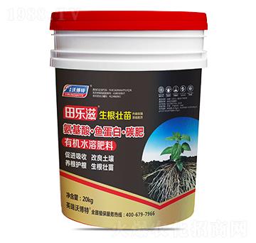 �����ᡤ�~���ס�̼��-�(l��)�̡���������-Ӣ���ֲ���