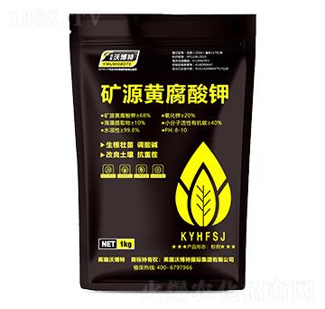 �VԴ�S�����-Ӣ���ֲ���