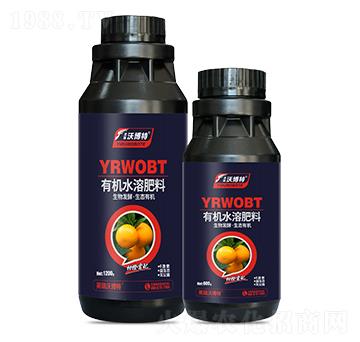 柑橙需配有機(jī)水溶肥料-英瑞沃博特