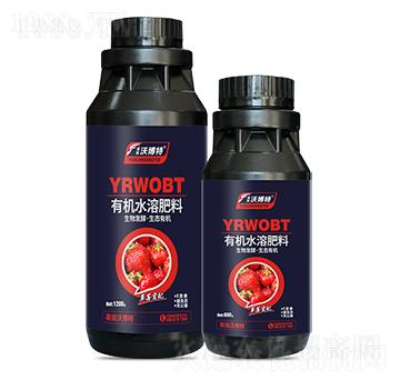 草莓需配有機(jī)水溶肥料-英瑞沃博特