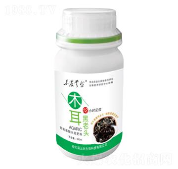 木耳黑老頭-云臺