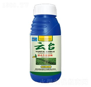 苗木生根抗病微生物菌劑-云臺