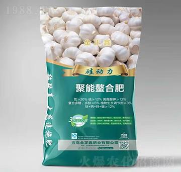 �������Ϸ�-������