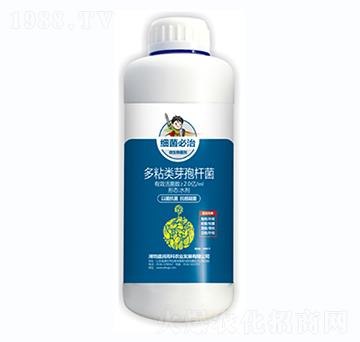 ��ճ�ѿ�ߗU��-��(x��)������-ʢ���߿�