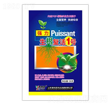 ������(f��)��1̖(h��o)-������