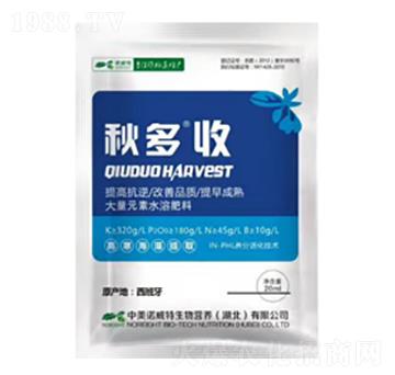 �����-����(li��n)��