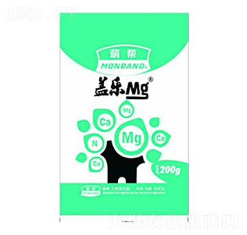 蓋樂-眾人聯(lián)合