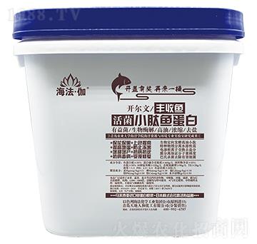 ���С���~����-�_�����S���~-������٤