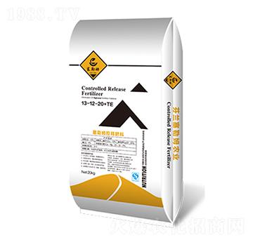 ��ጓ������13-12-20+TE-�����t