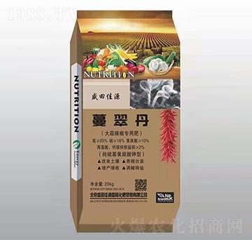 �����������÷�-���䵤-�����t