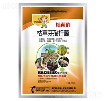 �ݲ�ѿ�ߗU��-����Ч-������-�ʰl(f��)����