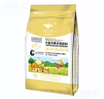 大量元素水溶肥料20-20-20+FA+TE-新核能