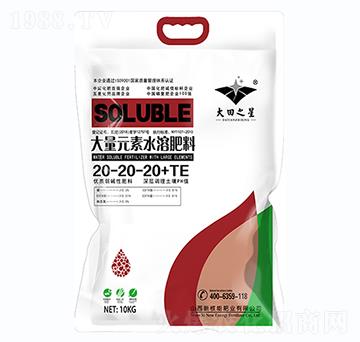 大量元素水溶肥料20-20-20+TE-新核能